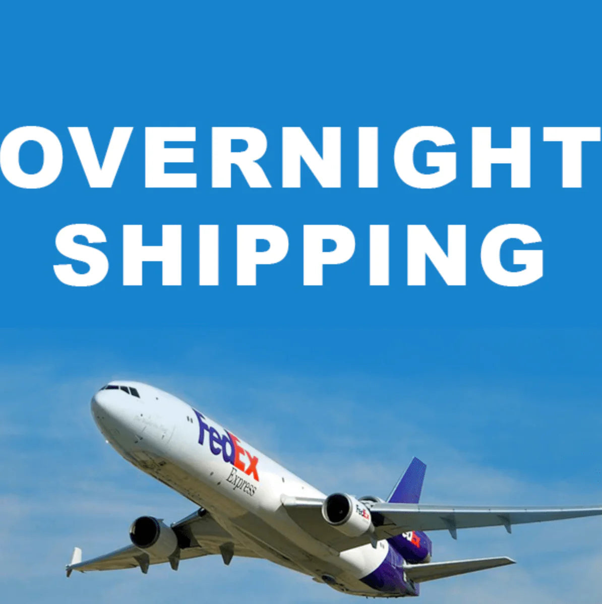 Overnight Fedex Shipping